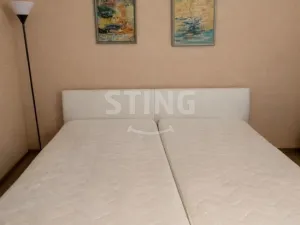 Pronájem bytu 2+kk, České Budějovice, Čechova, 55 m2