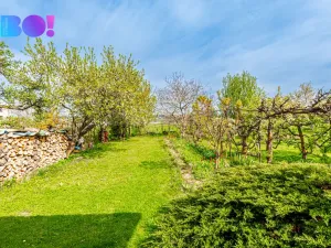 Prodej rodinného domu, Přerov, Hlavní, 149 m2