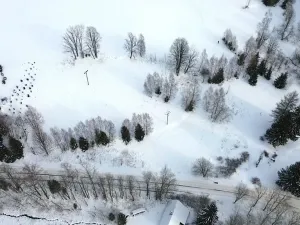 Prodej pozemku pro bydlení, Říčky v Orlických horách, 5940 m2