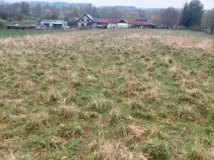 Prodej pozemku pro bydlení, Polom, 5462 m2