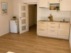 Pronájem bytu 1+kk, Praha - Braník, Jeremenkova, 28 m2