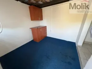 Prodej zahrady, Braňany, Pod Školou, 265 m2