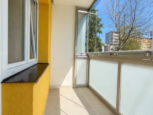 Prodej bytu 1+kk, Ostrava, Resslova, 27 m2