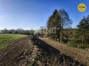 Prodej pozemku pro bydlení, Dolní Cerekev, 3350 m2