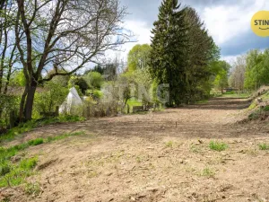 Prodej pozemku pro bydlení, Dolní Cerekev, 3350 m2