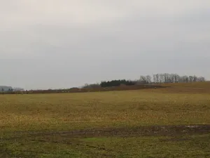 Dražba louky, Račice nad Trotinou, 18528 m2