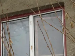 Dražba chaty, Zlatá Koruna, 10 m2