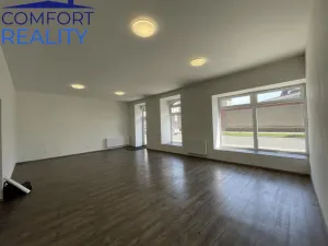 Pronájem obchodního prostoru, Opava - Předměstí, Olomoucká, 220 m2