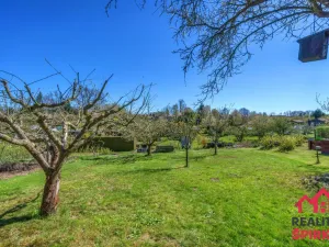 Prodej chaty, Ústí nad Orlicí, 25 m2