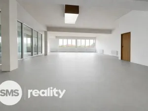 Pronájem obchodního prostoru, Hlučín, Cihelní, 167 m2