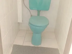 Prodej činžovního domu, Aš, Tyršova, 193 m2