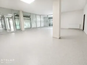 Pronájem obchodního prostoru, Hlučín, Cihelní, 113 m2