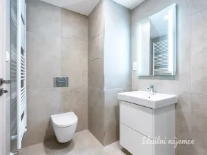 Pronájem bytu 1+kk, Praha - Hloubětín, Domalípova, 32 m2