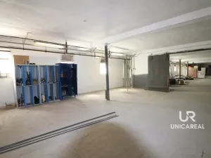 Pronájem skladu, Holubice, 1760 m2