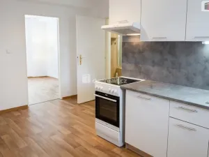 Pronájem bytu 1+1, Kolín - Kolín V, Mlýnská, 40 m2