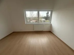 Pronájem rodinného domu, Plzeň, Dlasková, 108 m2