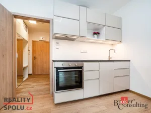 Pronájem bytu 1+kk, Slaný, Lázeňská, 35 m2