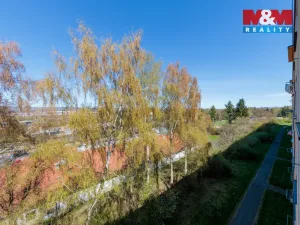 Prodej bytu 3+1, Sokolov, Mánesova, 60 m2