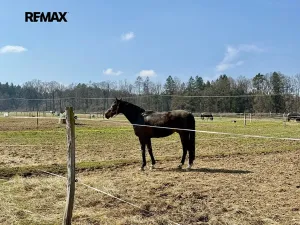 Prodej zemědělského objektu, Spálené Poříčí, 1300 m2