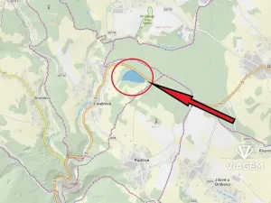 Prodej lesa, Loužnice, 41323 m2