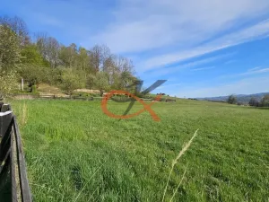 Prodej rodinného domu, Zubří, Na Galičky, 280 m2