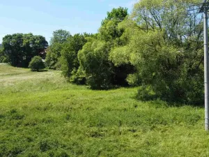Prodej pozemku, Hartmanice, 501 m2