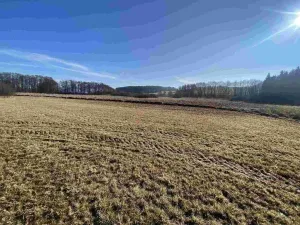 Prodej pole, Kváskovice, 10470 m2