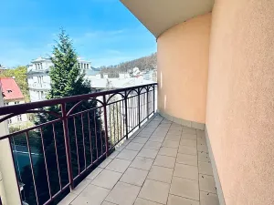 Prodej bytu 4+kk, Karlovy Vary, Zámecký vrch, 177 m2