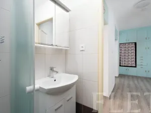 Pronájem bytu 2+1, Praha - Žižkov, Loudova, 61 m2