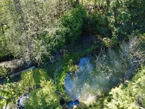 Pronájem rodinného domu, Volduchy, 110 m2