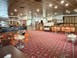 Pronájem obchodního prostoru, Ostrava, Denisova, 530 m2