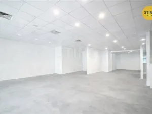 Pronájem obchodního prostoru, Ostrava, Denisova, 530 m2