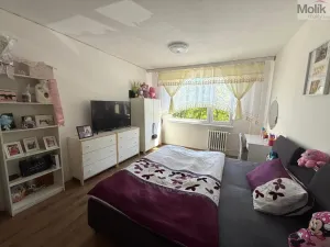 Prodej bytu 3+1, Krupka - Maršov, Karla Čapka, 68 m2