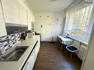 Prodej bytu 3+1, Krupka - Maršov, Karla Čapka, 68 m2