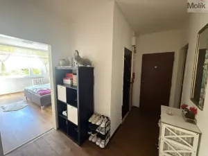 Prodej bytu 3+1, Krupka - Maršov, Karla Čapka, 68 m2