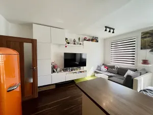 Prodej bytu 1+kk, Plzeň, Rabštejnská, 31 m2