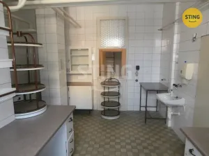 Pronájem obchodního prostoru, Opava - Kylešovice, Hlavní, 240 m2