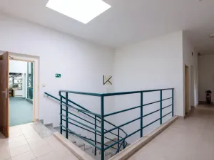 Pronájem obchodního prostoru, Praha - Křeslice, 3300 m2