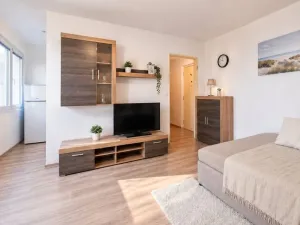 Prodej bytu 1+kk, Hradec Králové - Slezské Předměstí, Severní, 27 m2