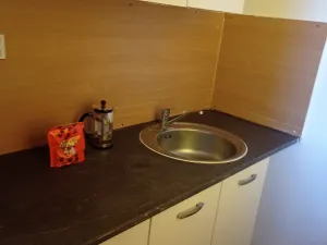 Pronájem bytu 1+1, Litvínov - Horní Litvínov, U Zámeckého parku, 27 m2