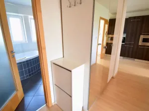 Pronájem bytu 2+1, Brno - Štýřice, Dvorského, 50 m2