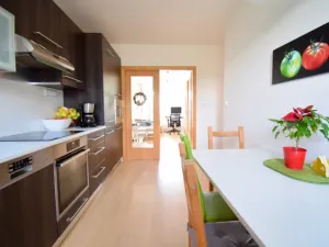 Pronájem bytu 2+1, Brno - Štýřice, Dvorského, 50 m2