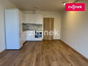 Pronájem bytu 1+kk, Zlín, Nad Stráněmi, 32 m2