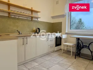 Pronájem bytu 1+1, Zlín, Žlutá, 40 m2