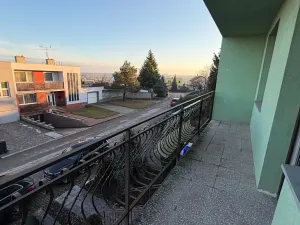 Prodej rodinného domu, Hrušovany nad Jevišovkou, 300 m2