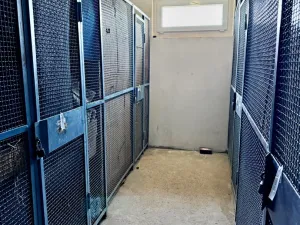 Prodej bytu 2+1, Podbořany, Sídliště Míru, 66 m2