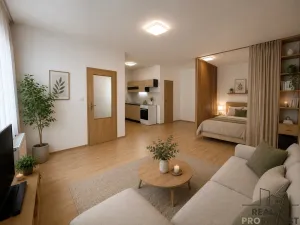 Pronájem bytu 1+kk, Hodonín, Národní třída, 50 m2