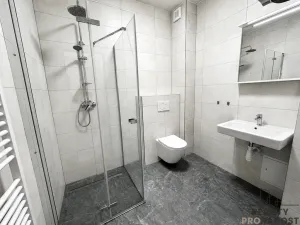 Pronájem bytu 1+kk, Hodonín, Národní třída, 50 m2