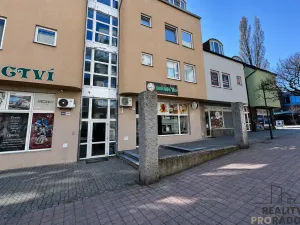 Pronájem bytu 1+kk, Hodonín, Národní třída, 50 m2
