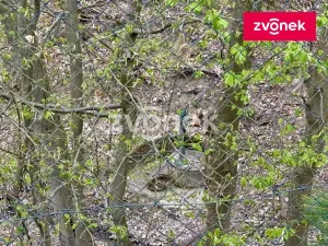 Prodej rodinného domu, Zlín - Příluky, 180 m2